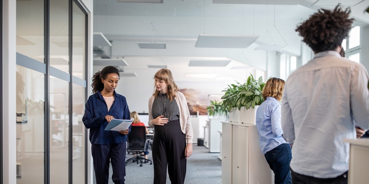 two professionals walking in office, reviewing document