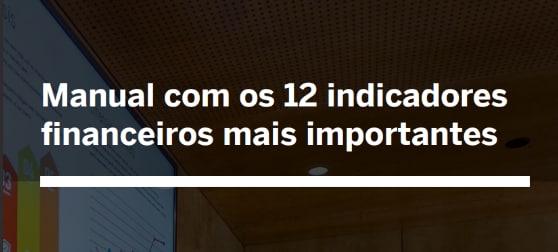 Manual com os 12 indicadores financeiros mais importantes